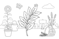 A bay leaf branch, close up – Fragrant Herb Garden coloring page