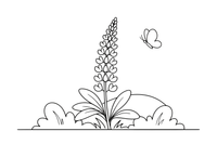 One tall lupine with a spike of little flowers – Wildflowers coloring page